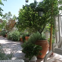 ancora prospettive ancora prospettive