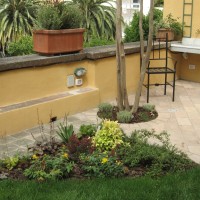 e nelle aiuole, l'illuminazione e nelle aiuole, l'illuminazione