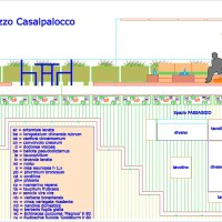 presenze di vari mediterranei presenze di vari mediterranei