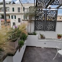 carex e tulbaghie carex e tulbaghie