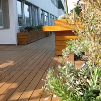 dalle aromatiche all'ulivo dalle aromatiche all'ulivo