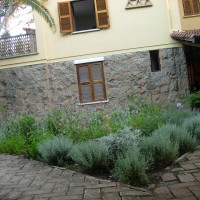 dell'aiuola a diamante dell'aiuola a diamante