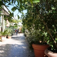 di luci, ombre di luci, ombre