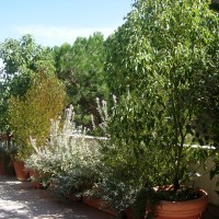 schermi e quinte schermi e quinte