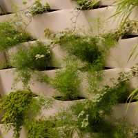 associazioni associazioni