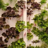 personalità personalità