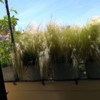 vista dall'interno vista dall'interno