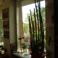 anche dall'interno anche dall'interno