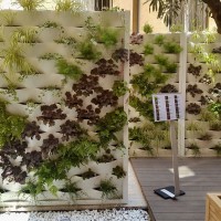 un nuovo spartito un nuovo spartito