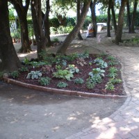 e per l'ombra e per l'ombra