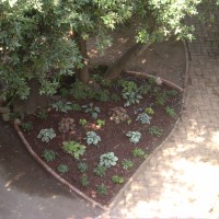 anche dal terrazzo anche dal terrazzo