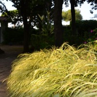 contrasti di luce contrasti di luce