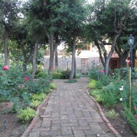 lecci, rose lecci, rose