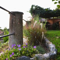 scandito da graminacee scandito da graminacee