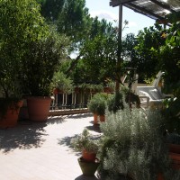 il fronte a destra il fronte a destra