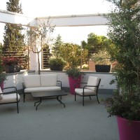 uno spazio che si libra uno spazio che si libra