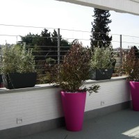 tra pochi colori tra pochi colori