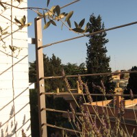 trasparenze fin nelle recinzioni trasparenze fin nelle recinzioni