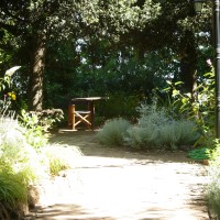 l'angolo della penombra l'angolo della penombra