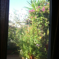 sopra Santa Rufina sopra Santa Rufina