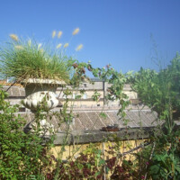 si affaccia sui tetti di Trastevere si affaccia sui tetti di Trastevere