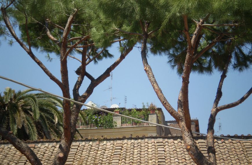 Un pied a terre sui tetti di Trastevere
