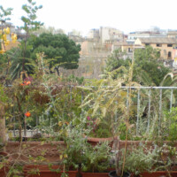 di la dalla ringhiera di la dalla ringhiera