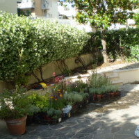 un nuovo progetto un nuovo progetto