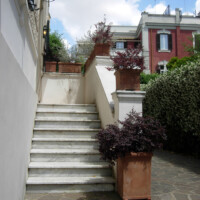e i loropetalum sulla scala e i loropetalum sulla scala