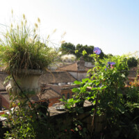 di una romanità rivisitata di una romanità rivisitata